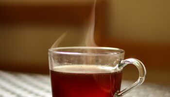 Chás para ajudar na digestão e aliviar desconfortos estomacais